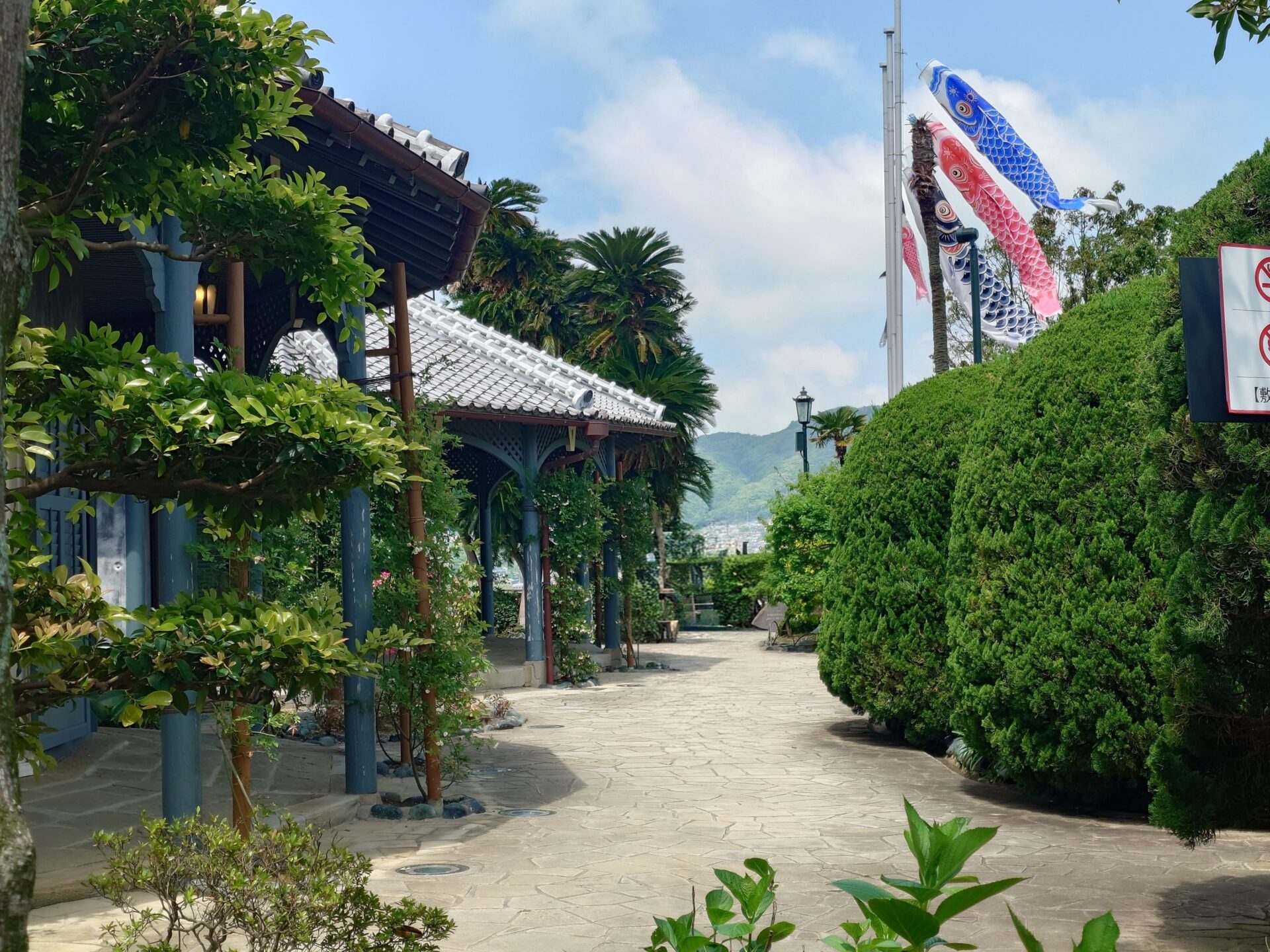 【お知らせ】鯉のぼりを飾りました